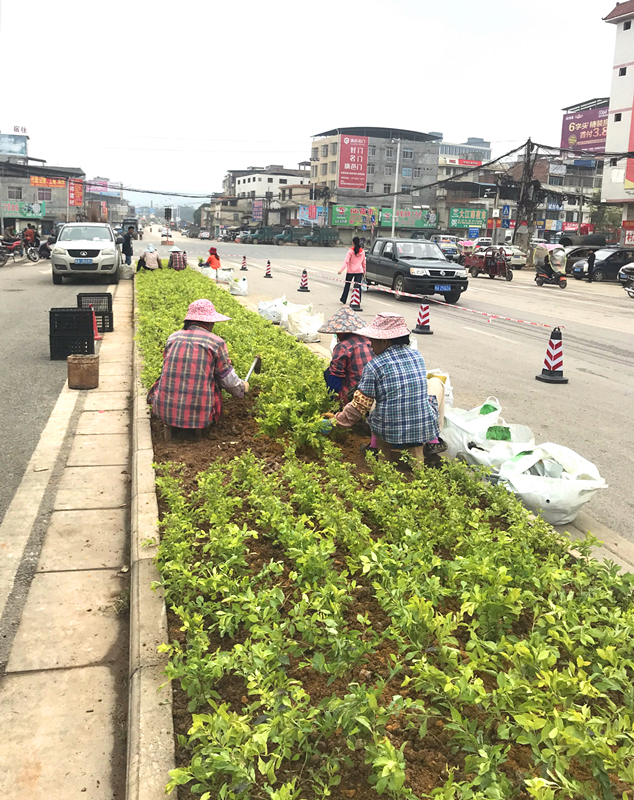 币游·国际(中国)最新官方网站