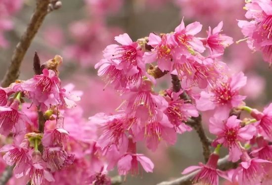 币游·国际(中国)最新官方网站