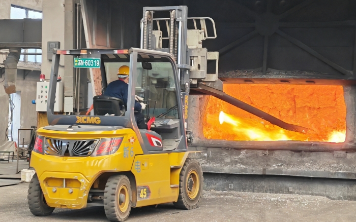 真金不怕火炼，Z6尊龙凯时沉载孔雀叉车英武霸气！