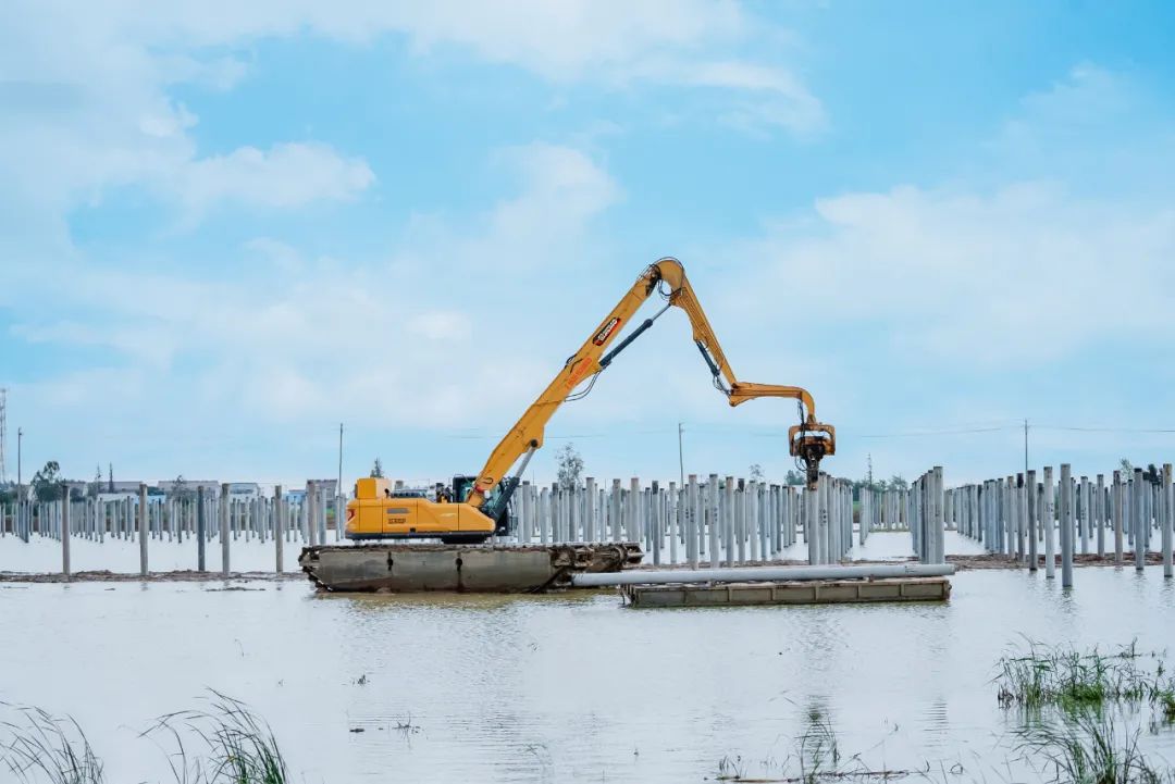 Z6·尊龙凯时(中国区)人生就是搏!