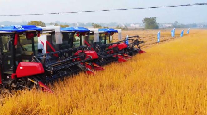 e549f40bf287406782fc717a44a7c96c