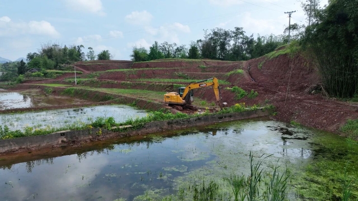 4db807cdea034791a5cf0187cc425fcd