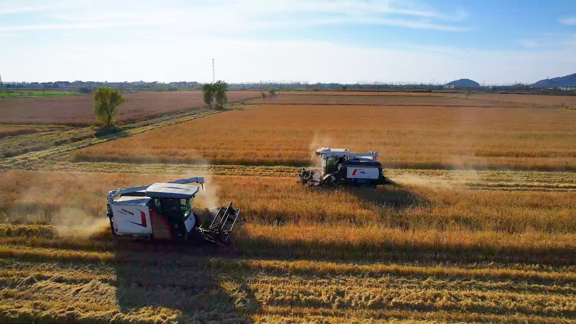 Z6·尊龙凯时(中国区)人生就是搏!