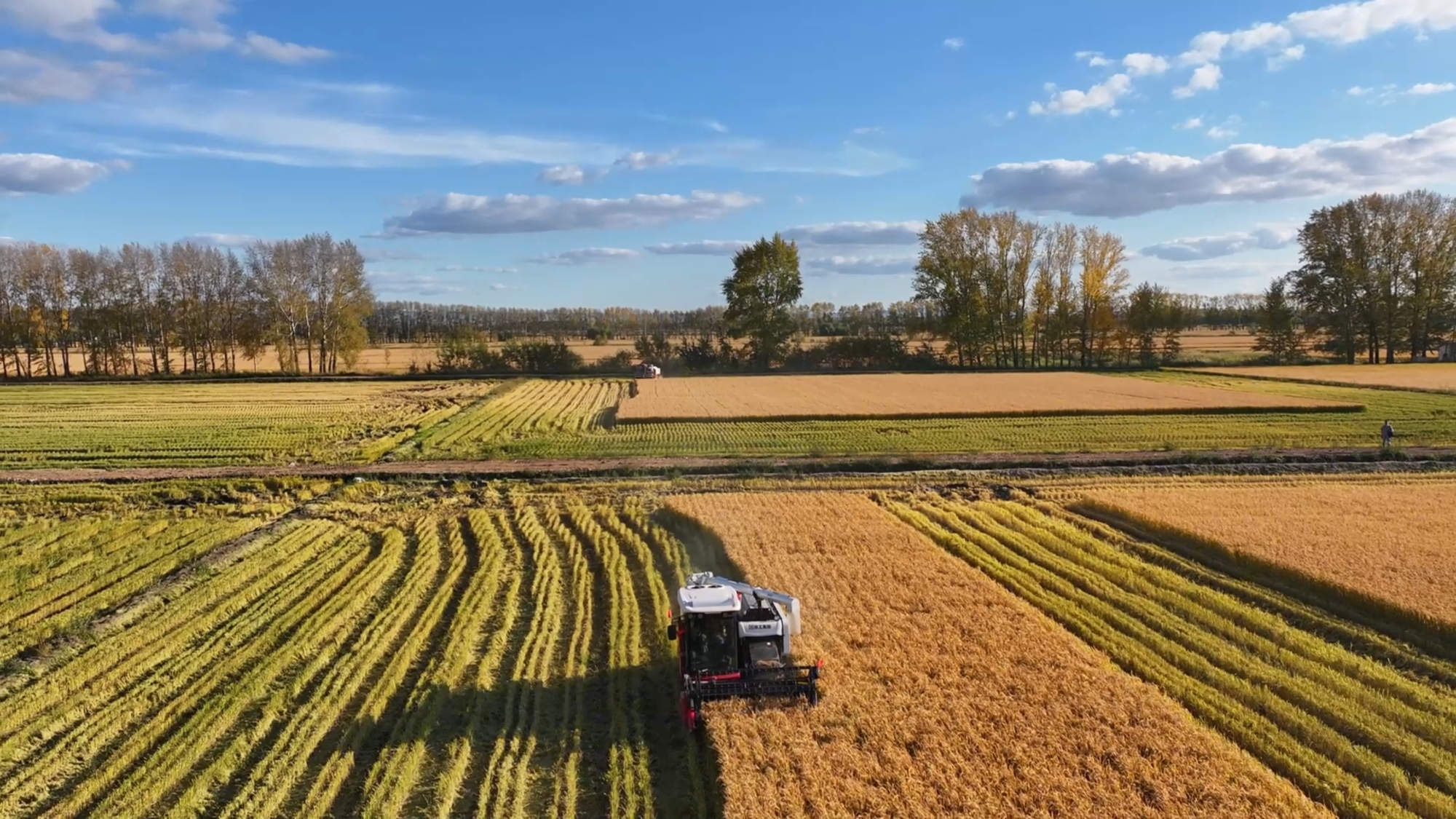 Z6·尊龙凯时(中国区)人生就是搏!