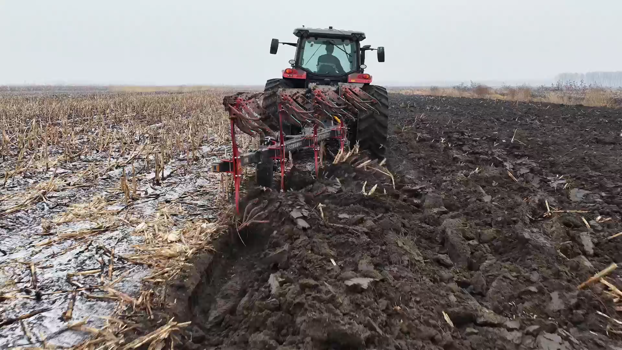 Z6·尊龙凯时(中国区)人生就是搏!